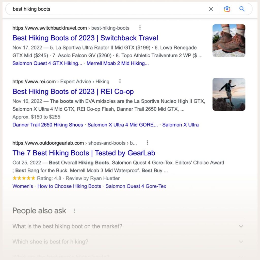 Screenshot of Google search results