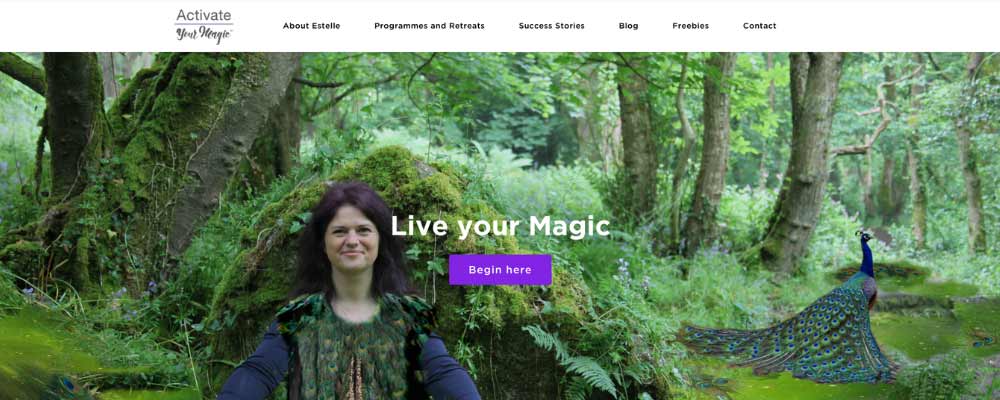 Activate your magic website 