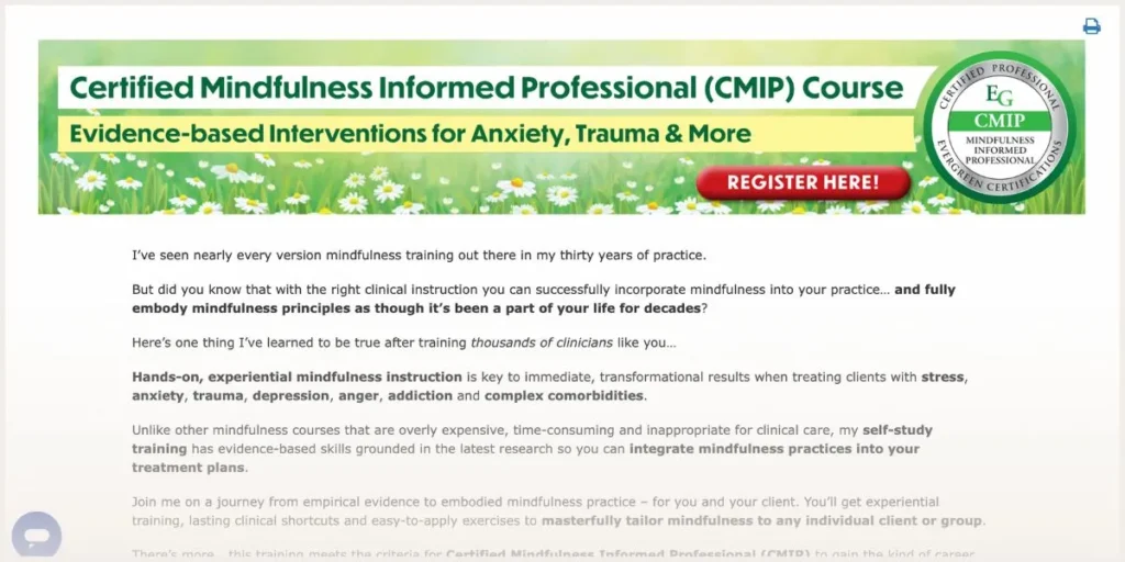 Screenshot of CMIP website 